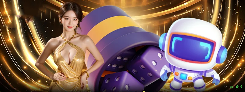 bra88 Provedores Premium